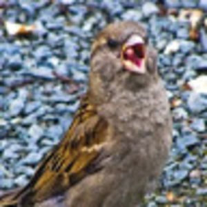 Meet your Posher, Evan